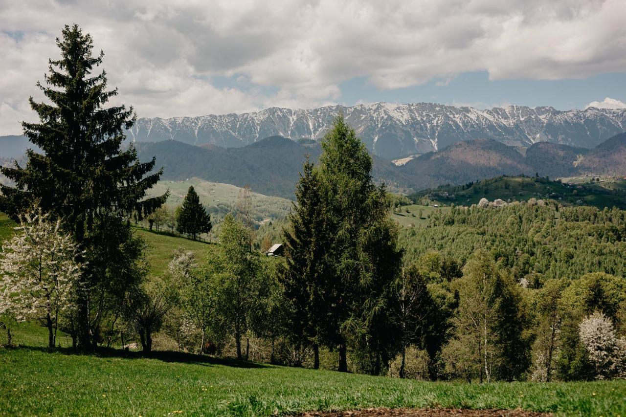 Silver Mountain B12 Poiana Brasov Bagian luar foto